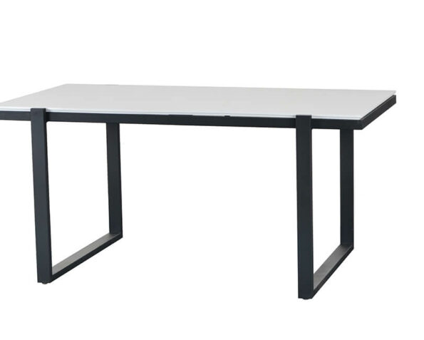 Stůl liz 160 x 90 cm bílý